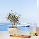 Apartamento Namaste Boutique Mykonos
